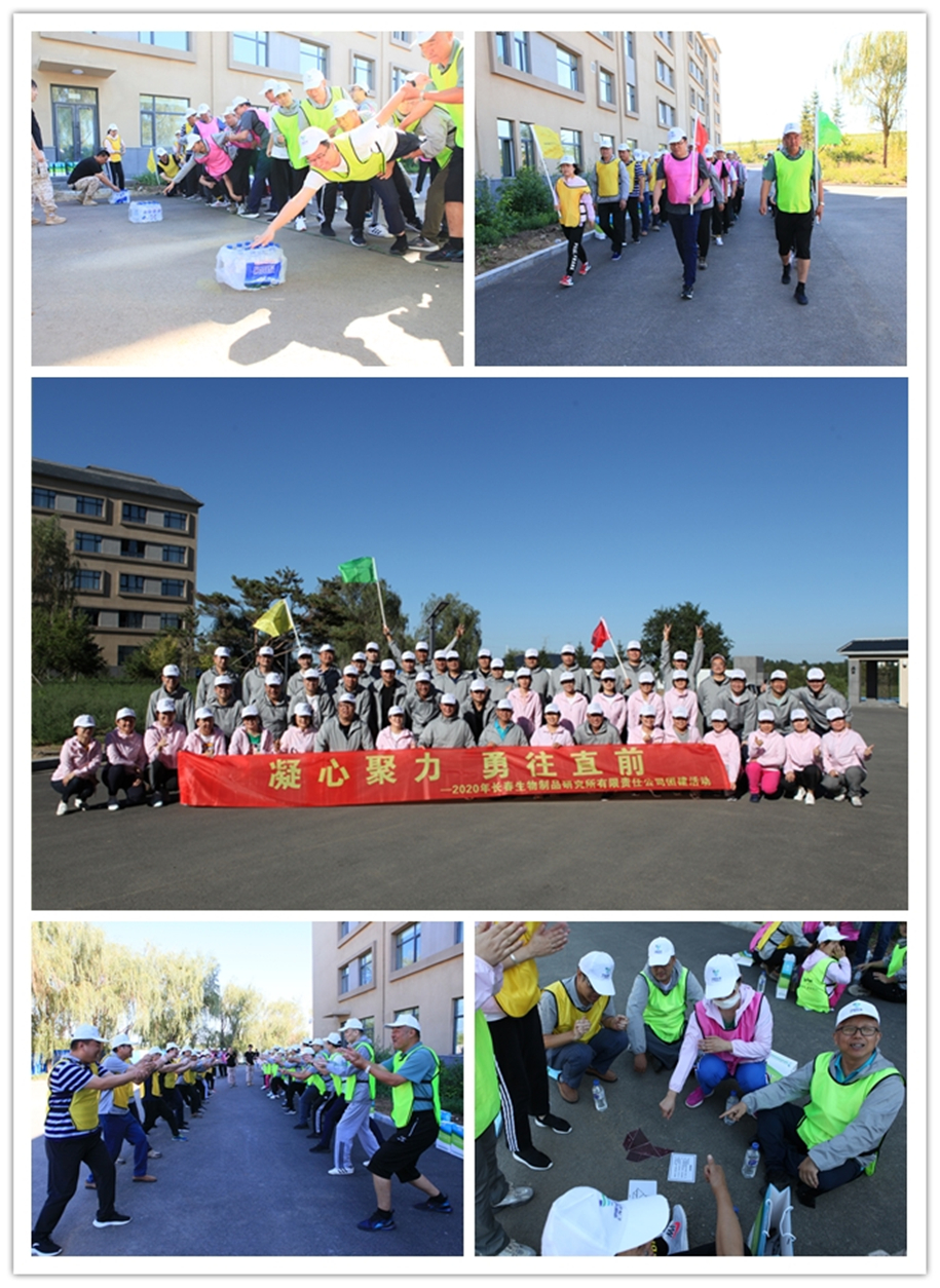 3_副本.jpg 3_副本.jpg