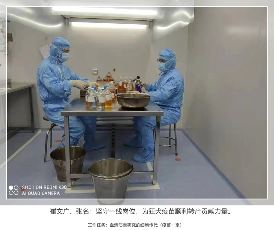 细胞组 疫苗一室.jpg 细胞组 疫苗一室.jpg